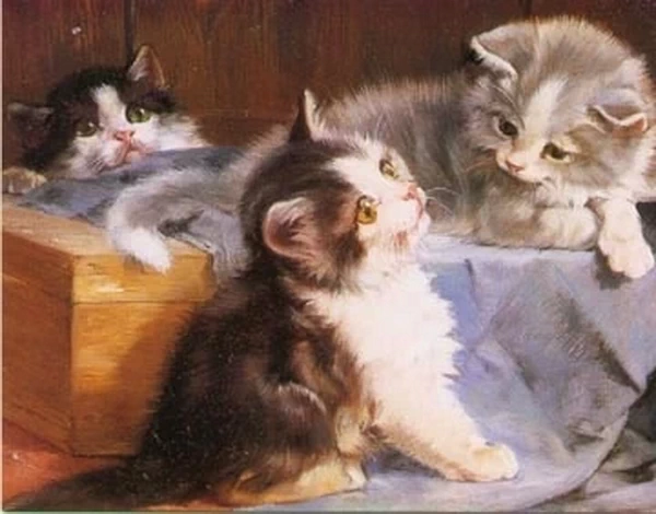 Gatti